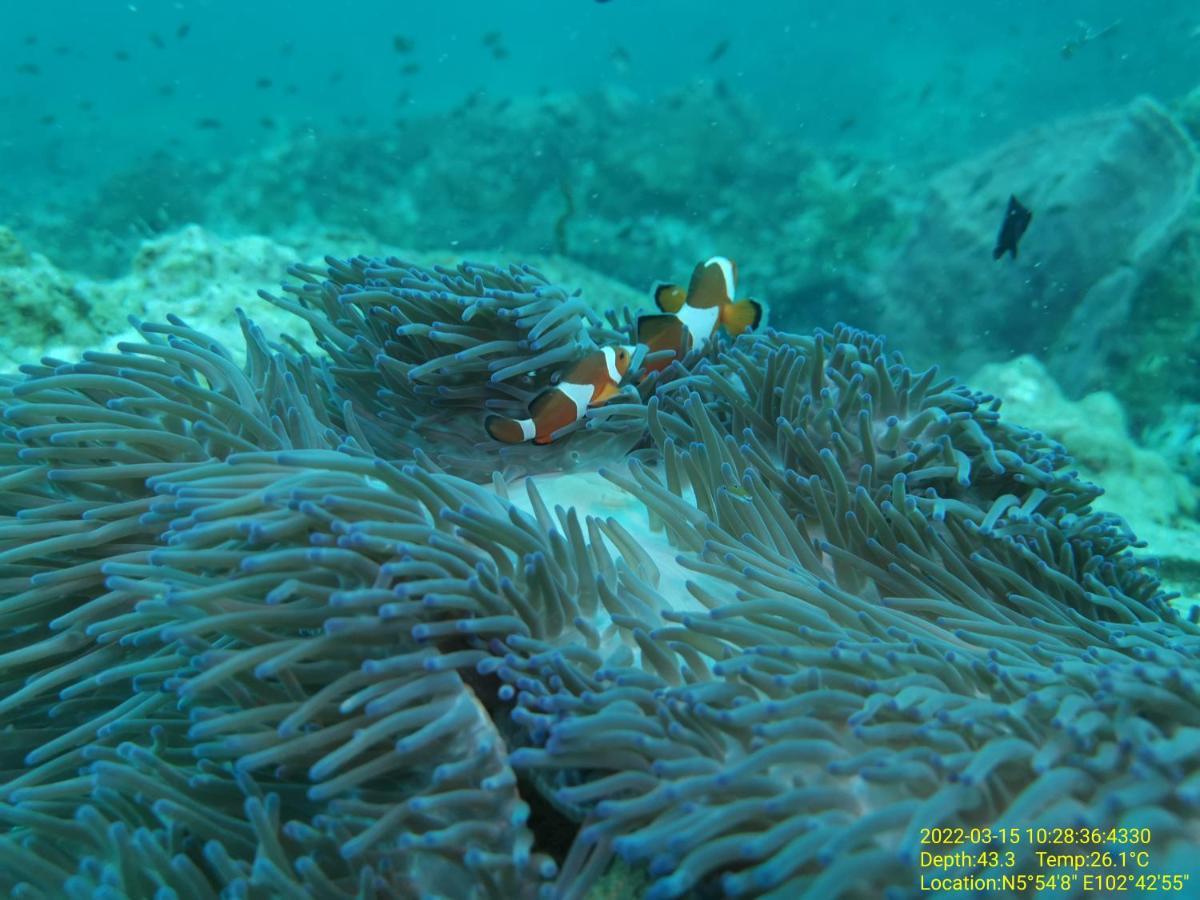 Perhentian Chomel Chalet Kampong Pasir Hantu Exterior foto
